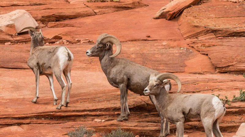 Arches National Park, Utah