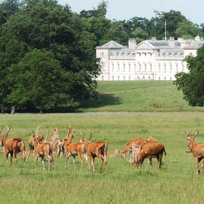 Woburn Abbey