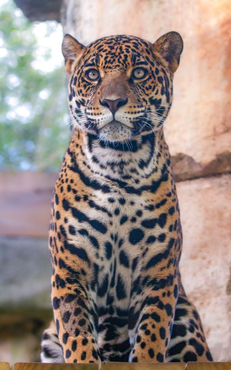 Louisiana - Audubon Zoo