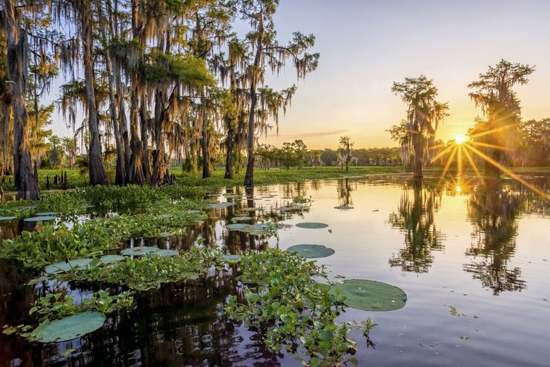Louisiana: Atchafalaya Basin