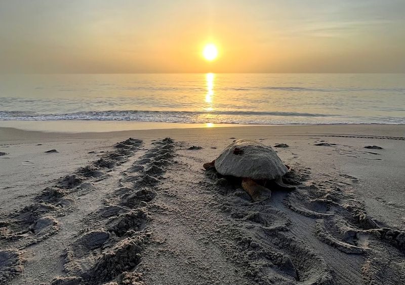 Vero Beach
