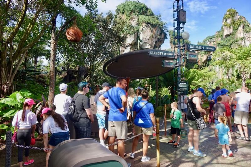 FastPass Utilization