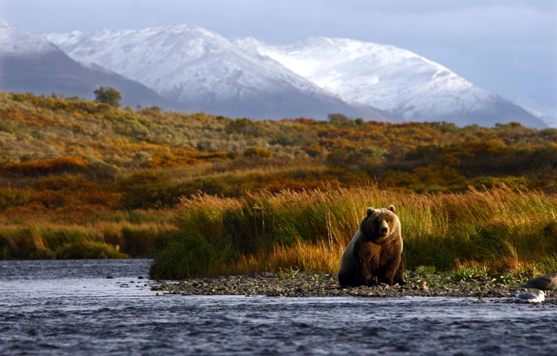 Kodiak National Wildlife Refuge, Alaska