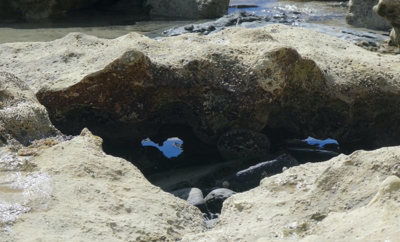 Mysterious Rocks of Aliso Beach