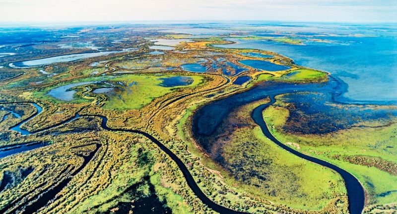 Wood Buffalo National Park