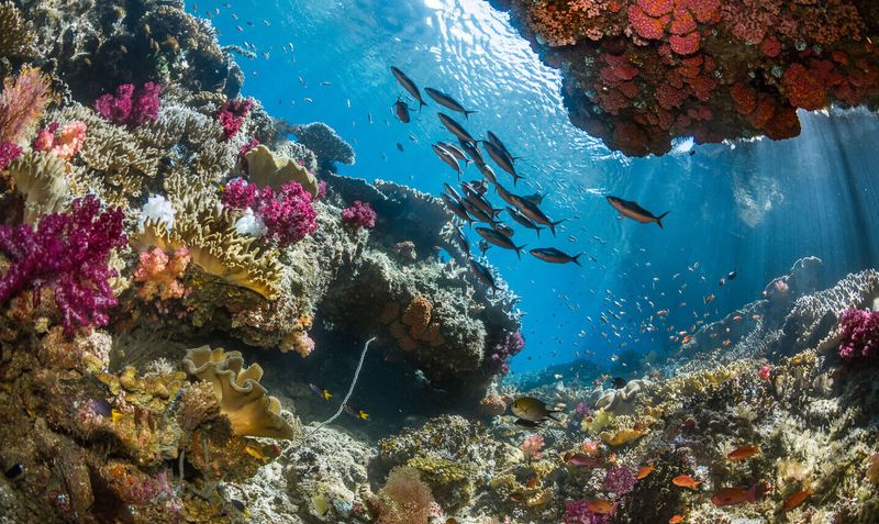 Raja Ampat, Indonesia
