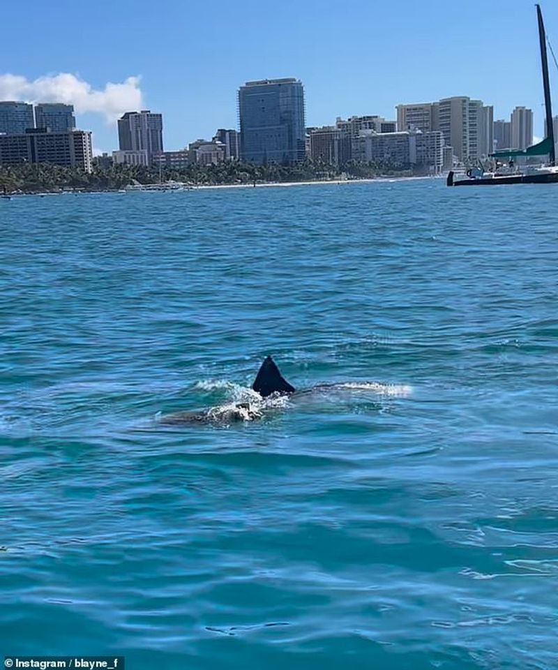 Waikiki Beach, Hawaii
