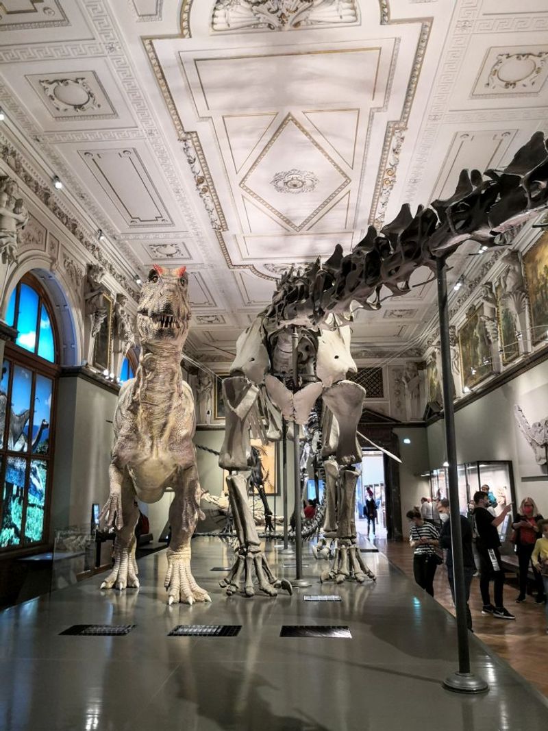 Museum of Natural History