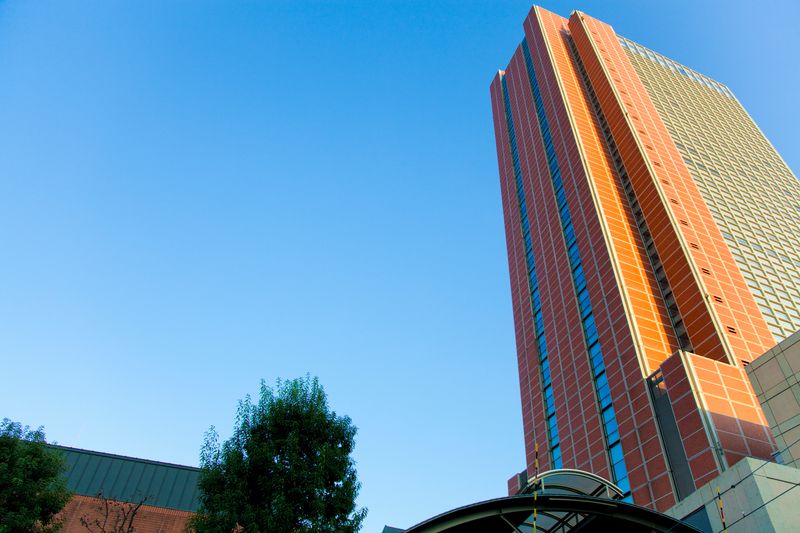 Sangenjaya's Carrot Tower