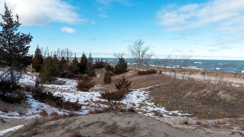 Pinery Provincial Park, Ontario