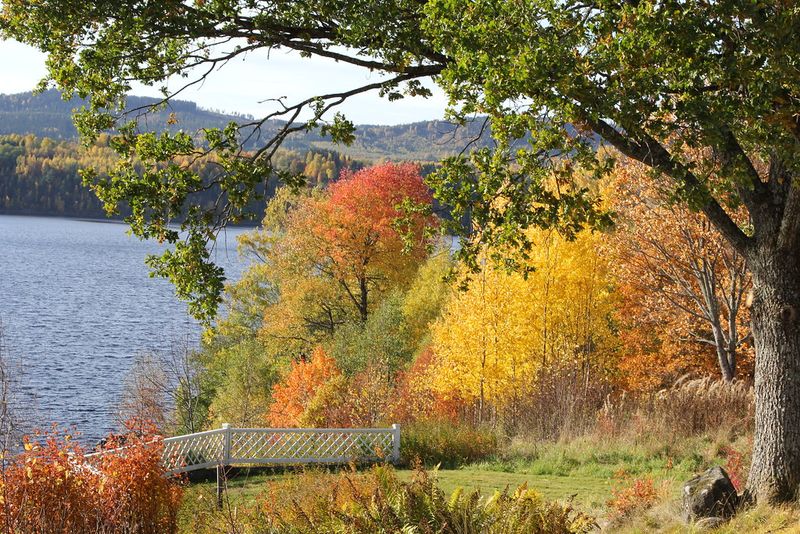 Lake Fryken