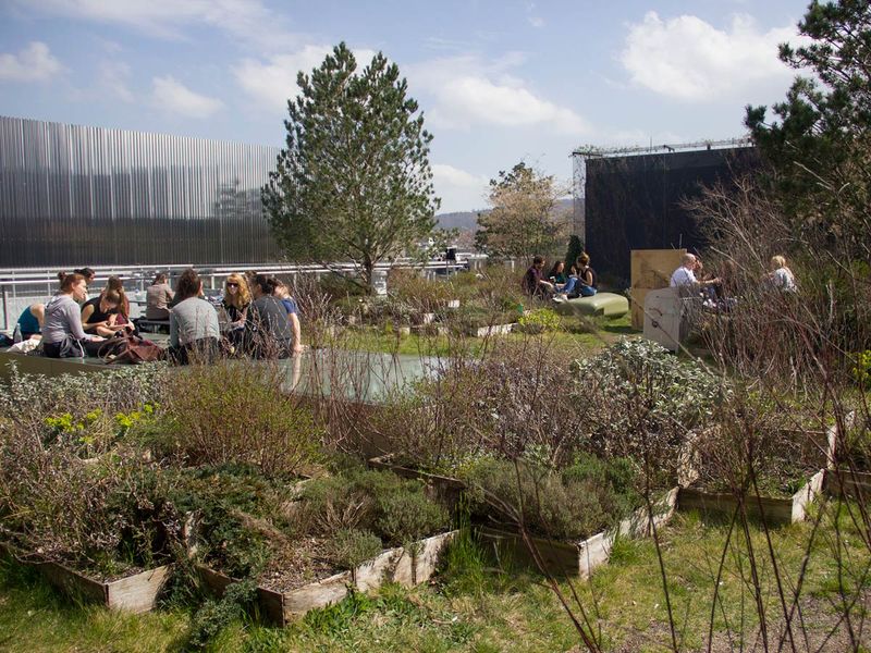 Zurich's Rooftop Gardens