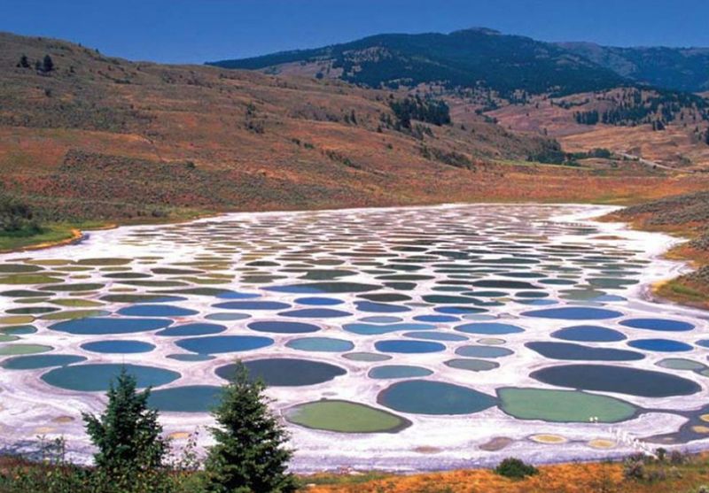 Spotted Lake