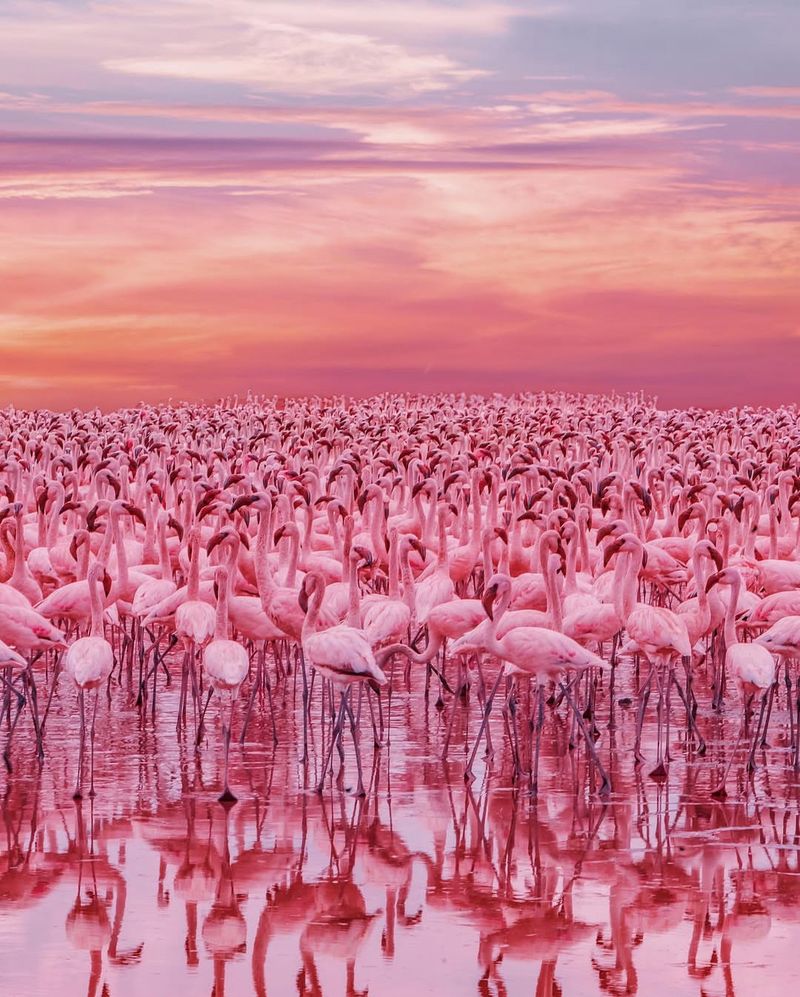 Lake Nakuru