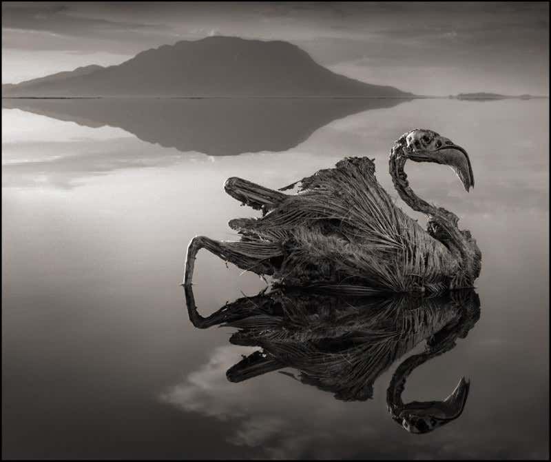 Lake Natron