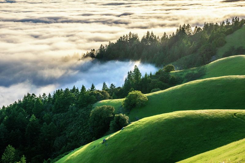 Mount Tamalpais State Park, Marin County