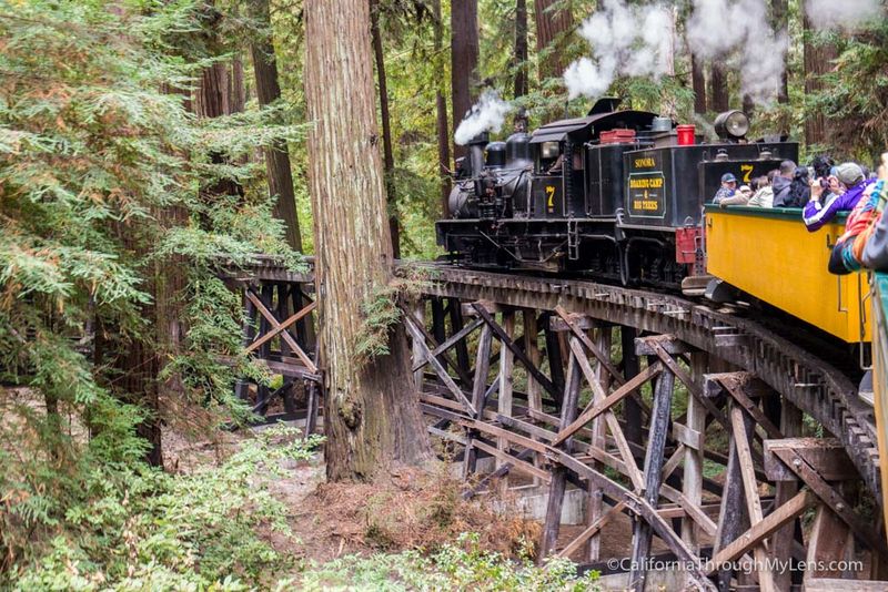 Roaring Camp Railroads