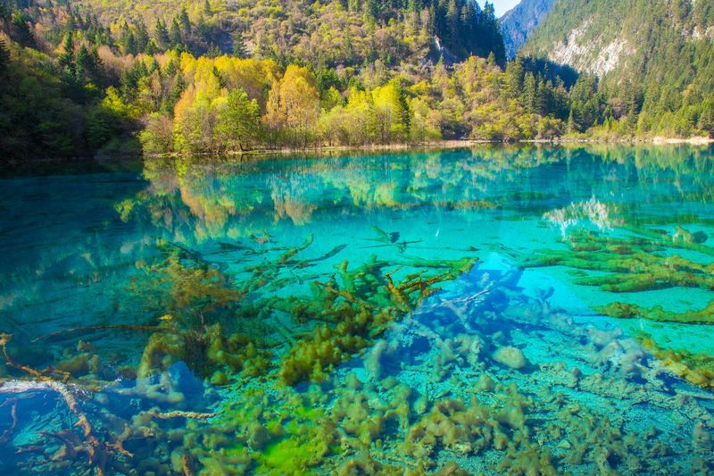 Jiuzhaigou Valley