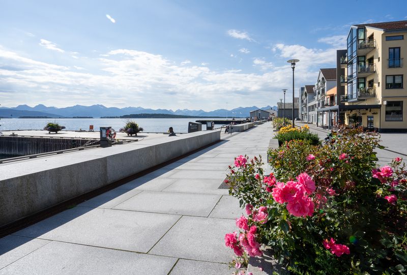 Molde