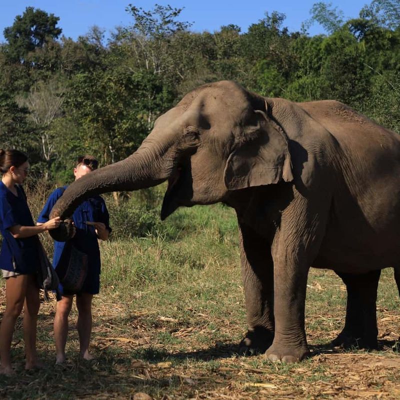 Chiang Mai, Thailand