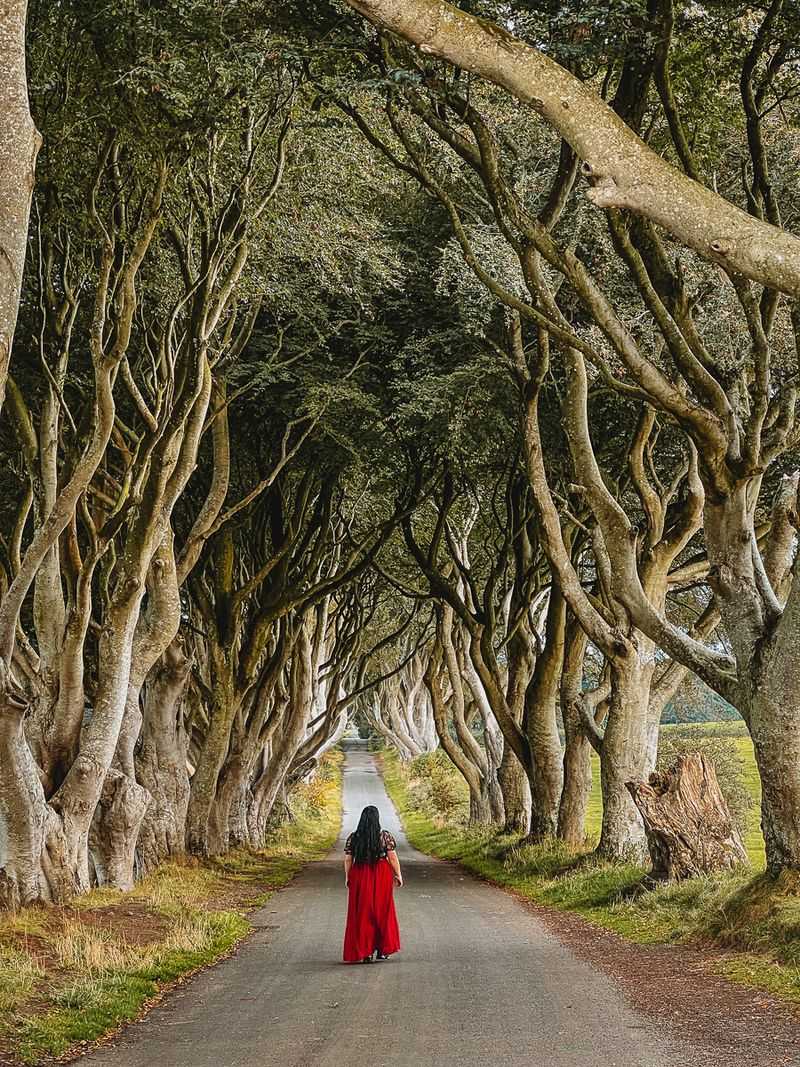 The Dark Hedges