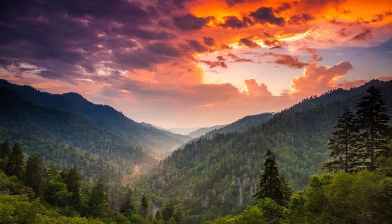 Majestic Mountain Views