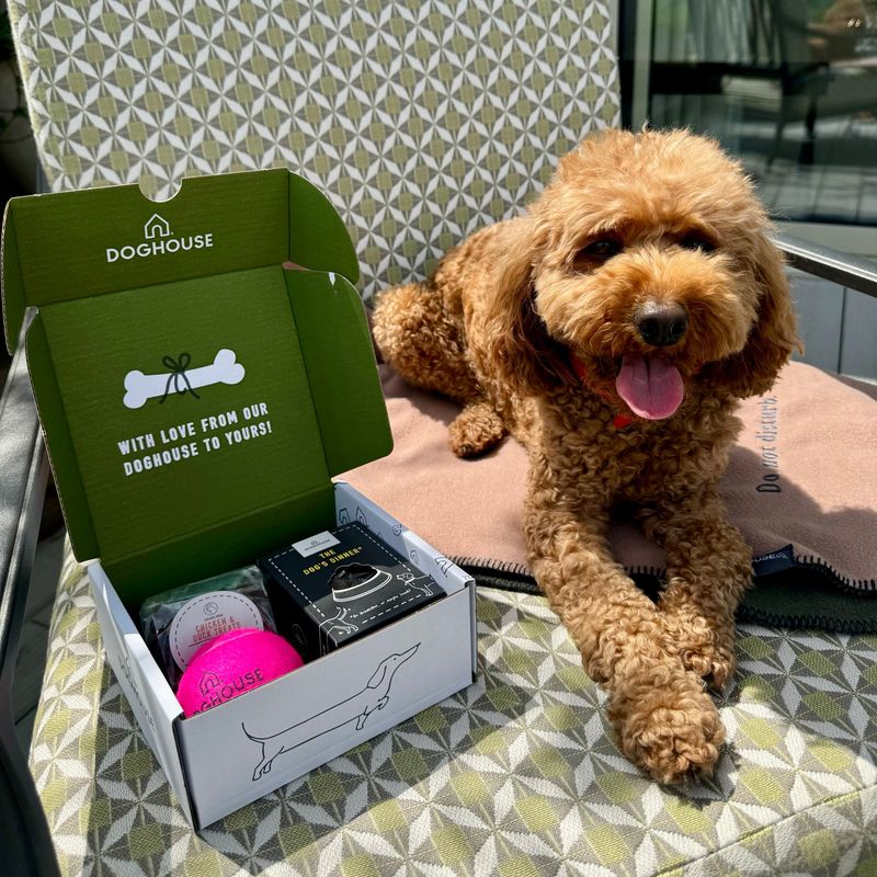 Request a Welcome Package for Pets