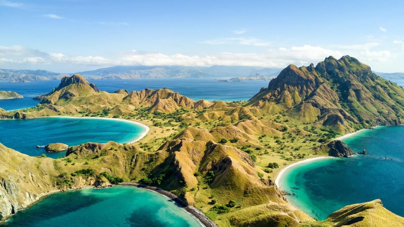 The Enchanted Isle of Flores