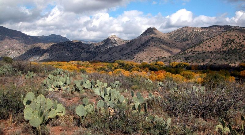 New Mexico