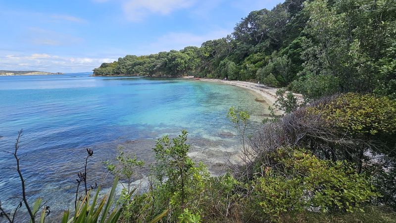 Tiritiri Matangi Island, New Zealand