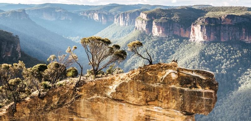 Ivy Cliffs, Australia
