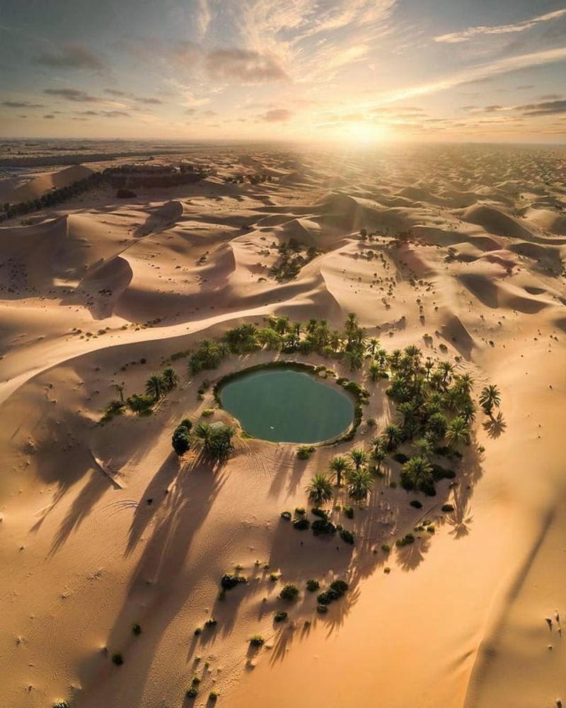 Mirage Oasis