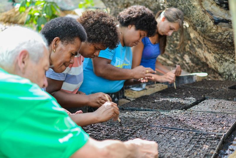 Volunteering Opportunities