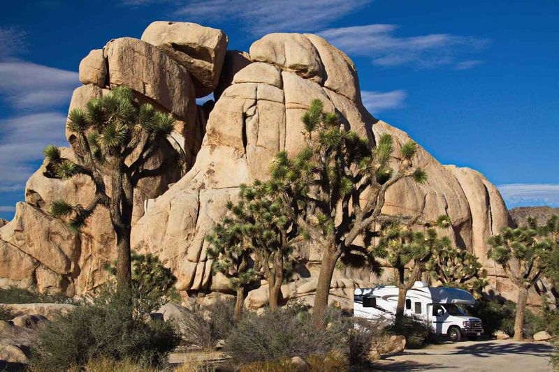 Joshua Tree National Park