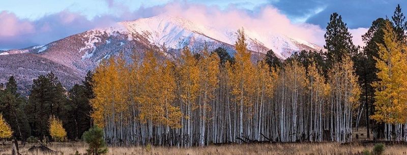 Flagstaff, Arizona