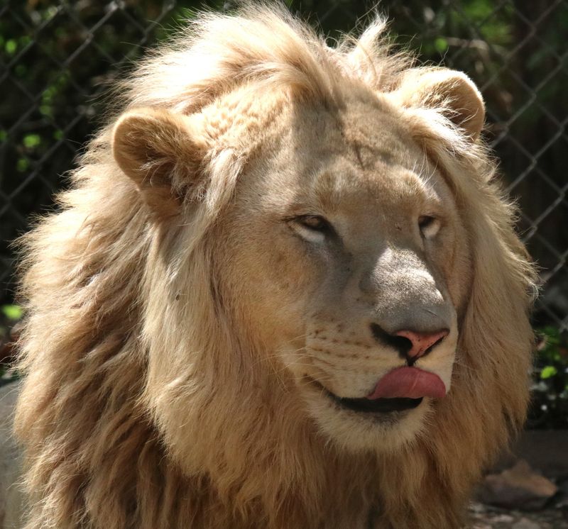 Maryland - Catoctin Wildlife Preserve and Zoo