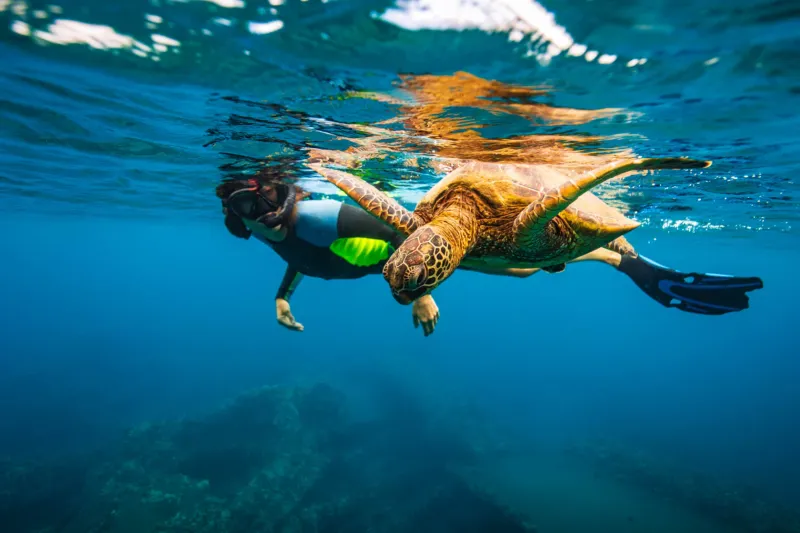 Galapagos Islands Exploration