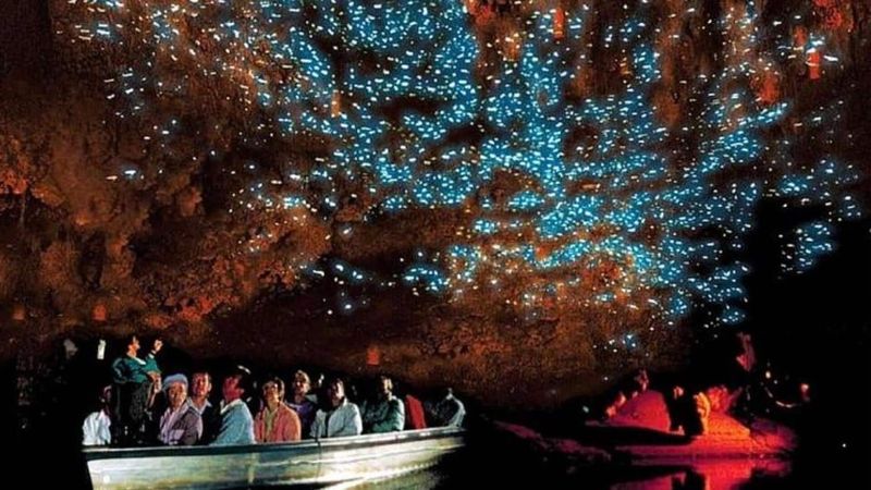 Glowing Waitomo Glowworm Caves