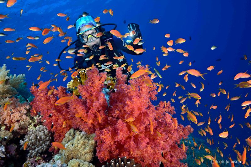 Red Sea, Egypt