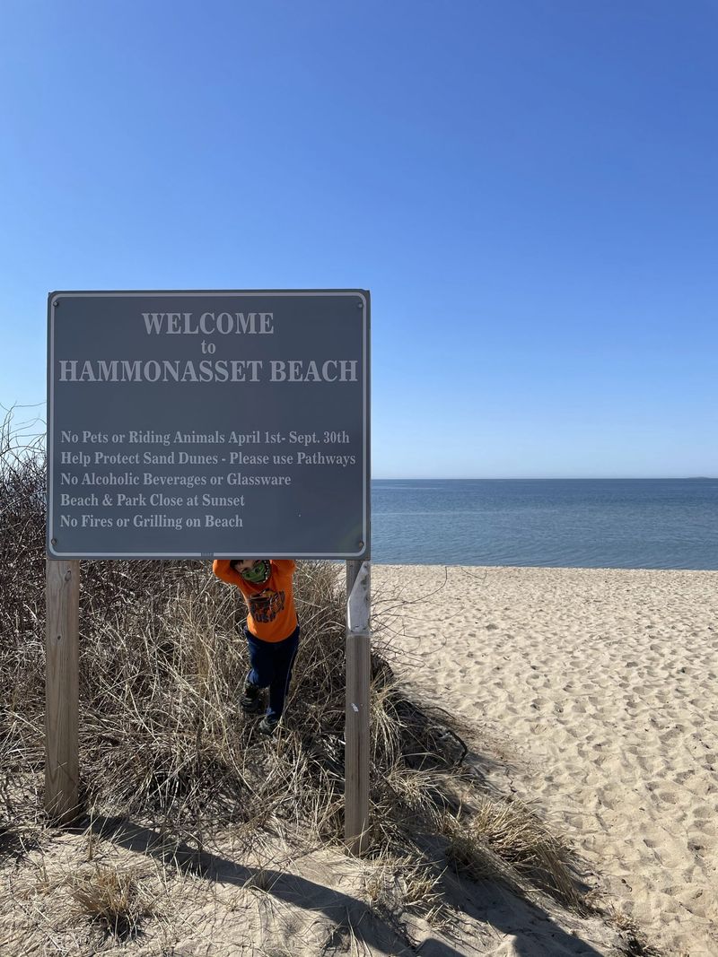 Hammonasset Beach State Park, Connecticut
