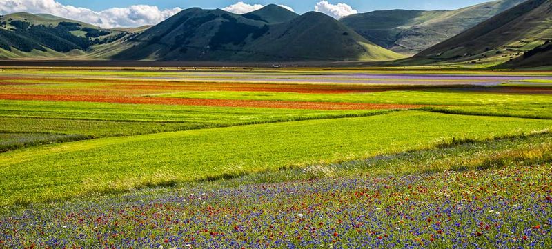 Castelluccio di Norcia
