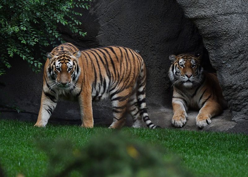 Michigan - Detroit Zoo