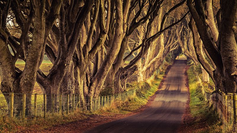 Northern Ireland