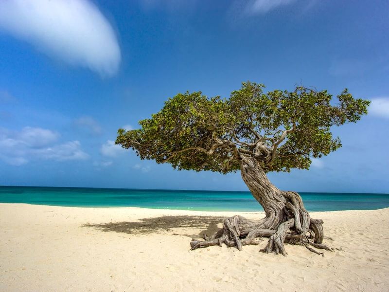 Eagle Beach, Aruba