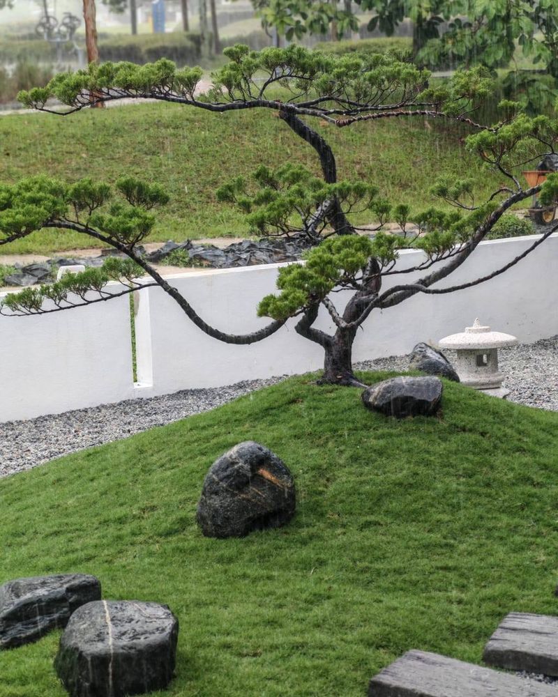 Zen River Sanctuary