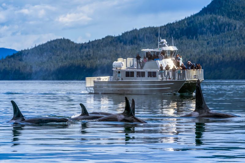 Alaskan Wilderness Adventure