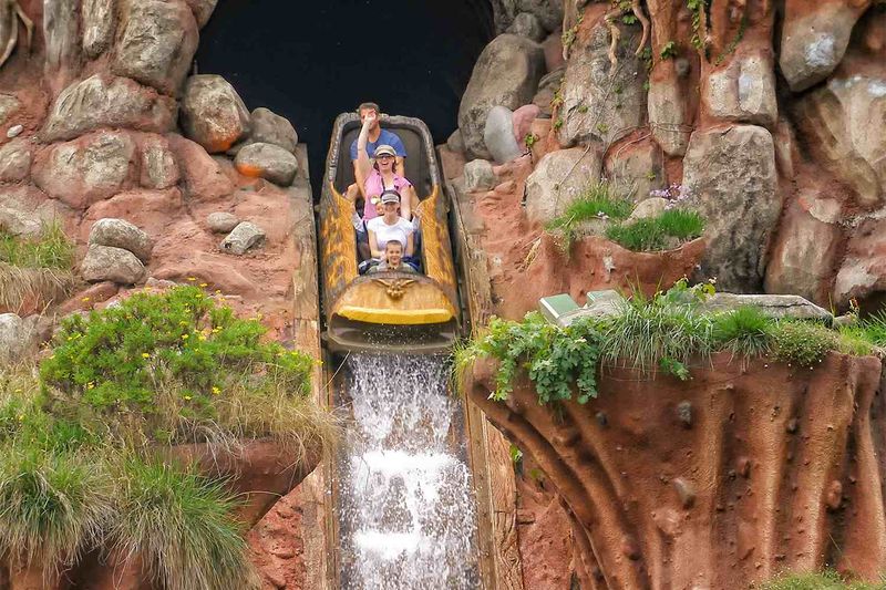 Splash Mountain's Thrilling Descent