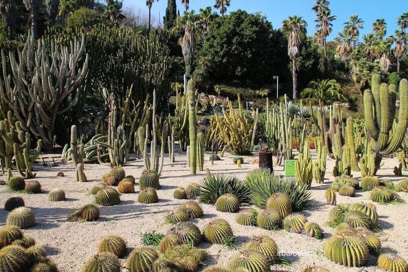 Poble Sec's Jardins de Mossèn Costa i Llobera