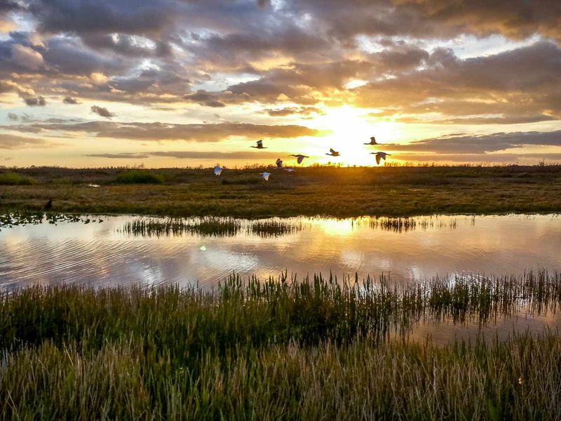 Everglades National Park