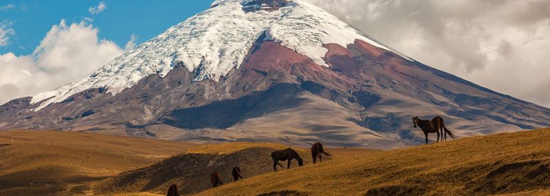 Ecuador